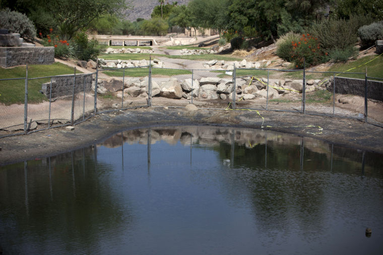 Pond Drying